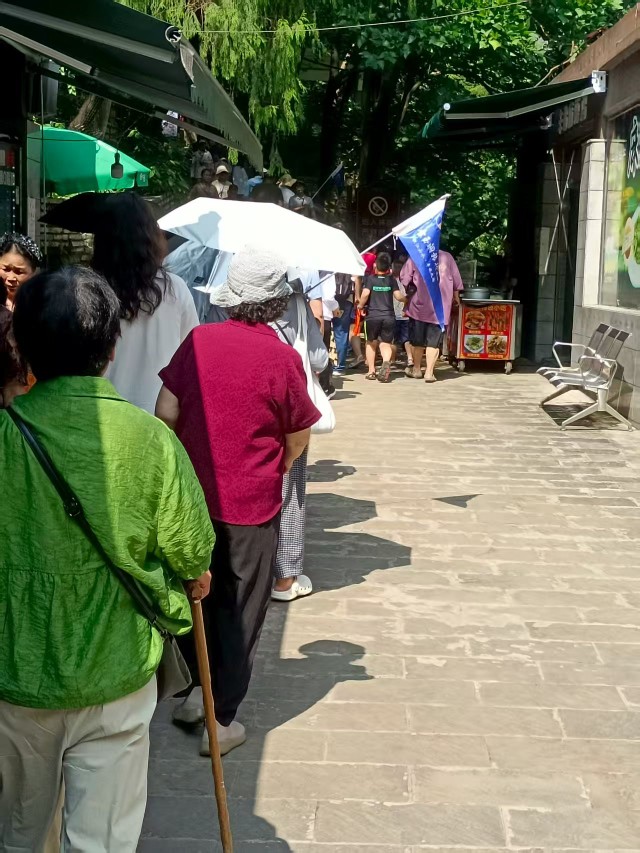 景區出入口處因為擁堵排起長隊。受訪者供圖